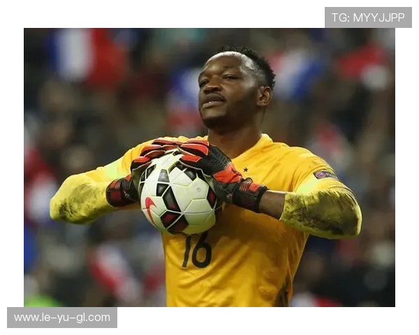 法国门将曼丹达最新状态更新