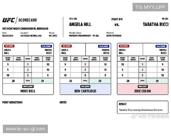 拳击赛制规则解析：得分与判罚要点